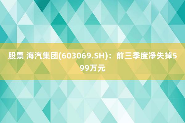 股票 海汽集团(603069.SH)：前三季度净失掉599万元