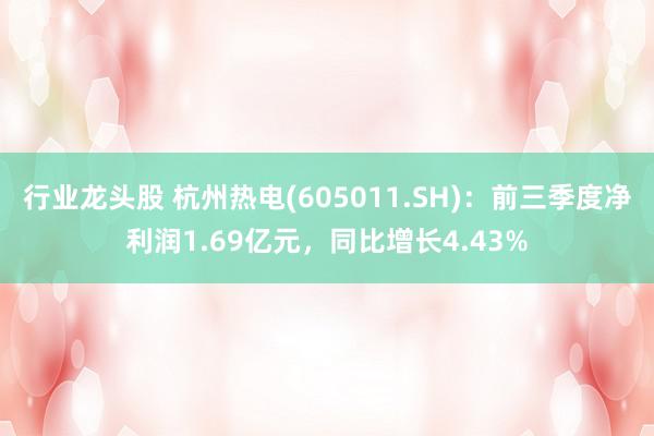 行业龙头股 杭州热电(605011.SH)：前三季度净利润1.69亿元，同比增长4.43%