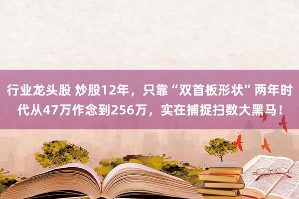 行业龙头股 炒股12年，只靠“双首板形状”两年时代从47万作念到256万，实在捕捉扫数大黑马！