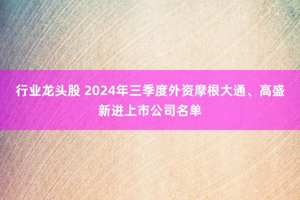 行业龙头股 2024年三季度外资摩根大通、高盛新进上市公司名单