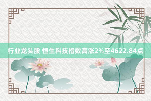 行业龙头股 恒生科技指数高涨2%至4622.84点