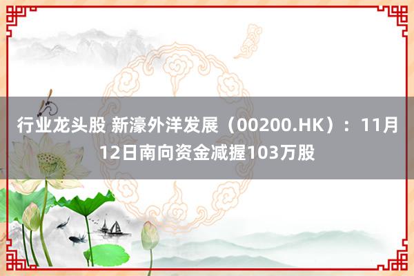 行业龙头股 新濠外洋发展（00200.HK）：11月12日南向资金减握103万股