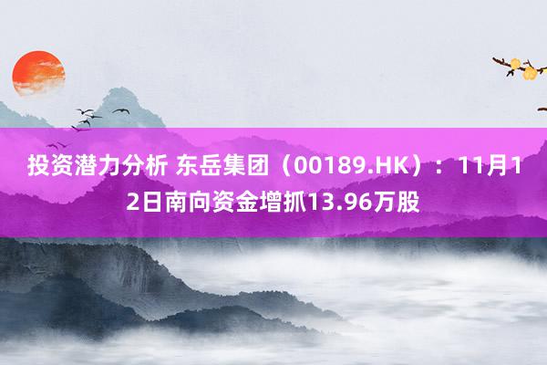 投资潜力分析 东岳集团（00189.HK）：11月12日南向资金增抓13.96万股