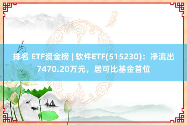 排名 ETF资金榜 | 软件ETF(515230)：净流出7470.20万元，居可比基金首位