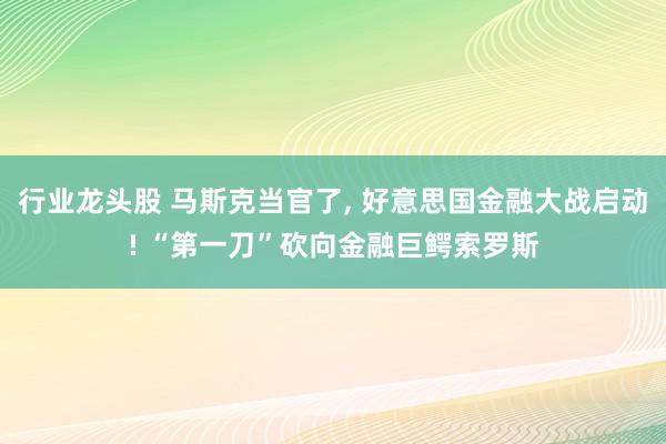 行业龙头股 马斯克当官了, 好意思国金融大战启动! “第一刀”砍向金融巨鳄索罗斯