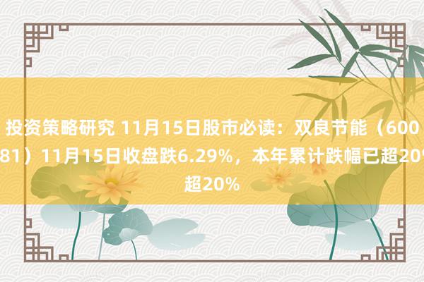 投资策略研究 11月15日股市必读：双良节能（600481）11月15日收盘跌6.29%，本年累计跌幅已超20%