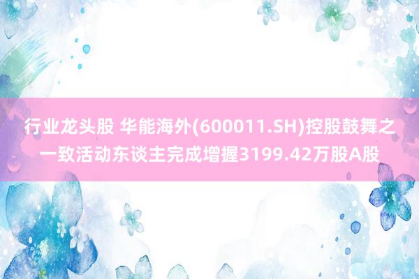 行业龙头股 华能海外(600011.SH)控股鼓舞之一致活动东谈主完成增握3199.42万股A股