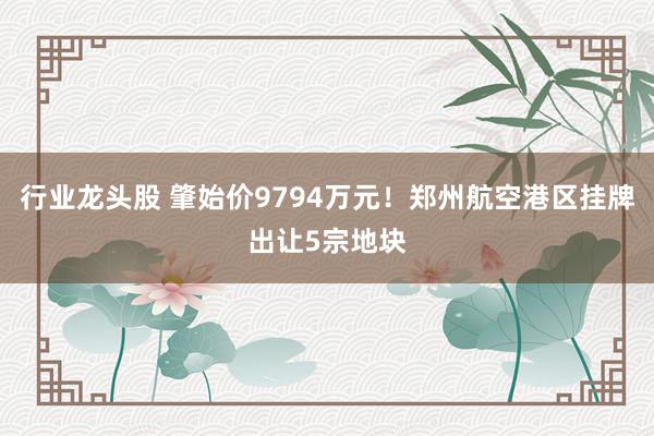 行业龙头股 肇始价9794万元！郑州航空港区挂牌出让5宗地块