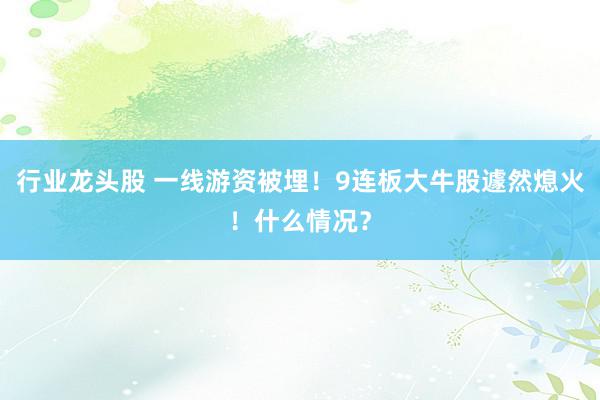 行业龙头股 一线游资被埋！9连板大牛股遽然熄火！什么情况？