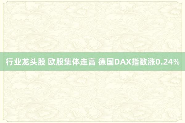 行业龙头股 欧股集体走高 德国DAX指数涨0.24%