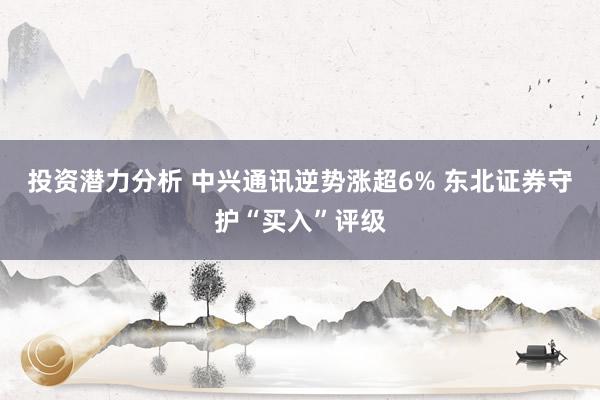 投资潜力分析 中兴通讯逆势涨超6% 东北证券守护“买入”评级