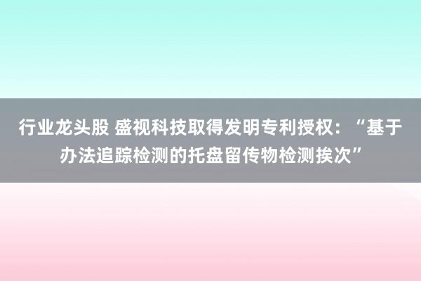 行业龙头股 盛视科技取得发明专利授权：“基于办法追踪检测的托盘留传物检测挨次”