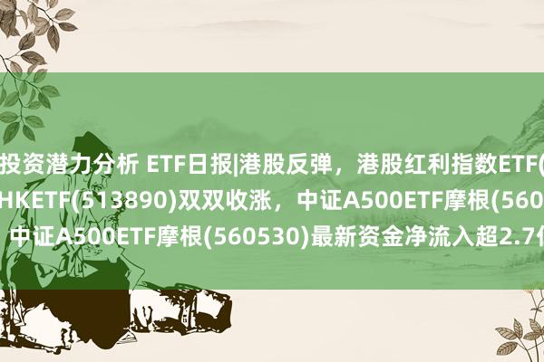 投资潜力分析 ETF日报|港股反弹，港股红利指数ETF(513630)、恒生科技HKETF(513890)双双收涨，中证A500ETF摩根(560530)最新资金净流入超2.7亿元