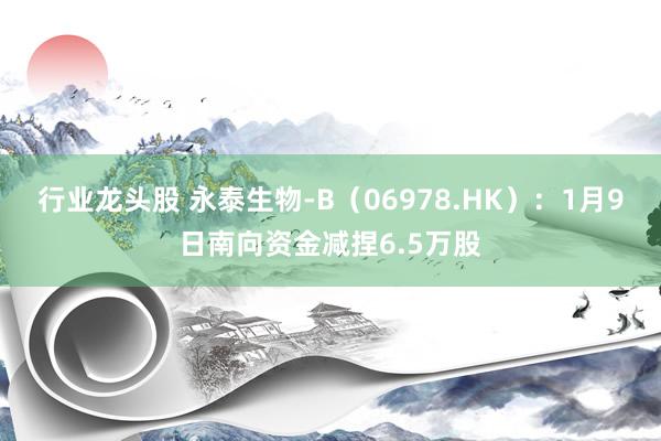 行业龙头股 永泰生物-B（06978.HK）：1月9日南向资金减捏6.5万股