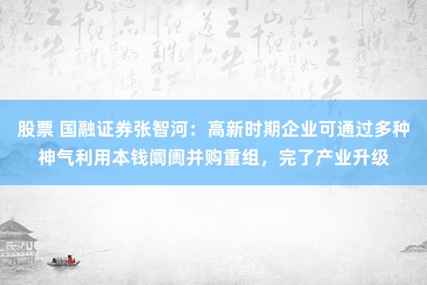 股票 国融证券张智河：高新时期企业可通过多种神气利用本钱阛阓并购重组，完了产业升级