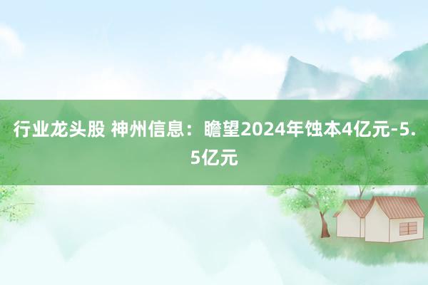 行业龙头股 神州信息：瞻望2024年蚀本4亿元-5.5亿元