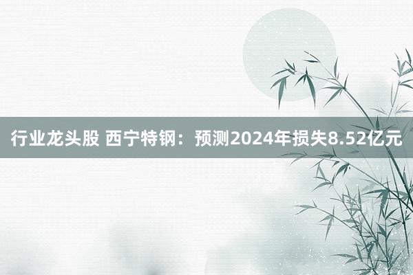 行业龙头股 西宁特钢：预测2024年损失8.52亿元