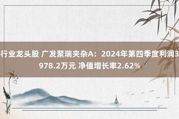 行业龙头股 广发聚瑞夹杂A：2024年第四季度利润3978.2万元 净值增长率2.62%