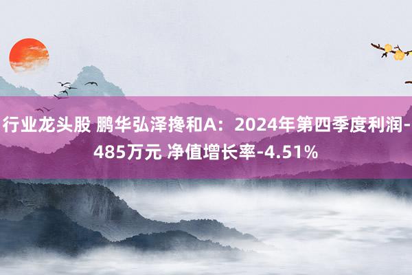 行业龙头股 鹏华弘泽搀和A：2024年第四季度利润-485万元 净值增长率-4.51%