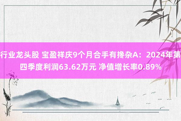 行业龙头股 宝盈祥庆9个月合手有搀杂A：2024年第四季度利润63.62万元 净值增长率0.89%