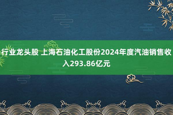 行业龙头股 上海石油化工股份2024年度汽油销售收入293.86亿元