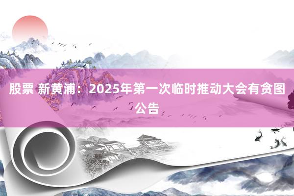 股票 新黄浦：2025年第一次临时推动大会有贪图公告