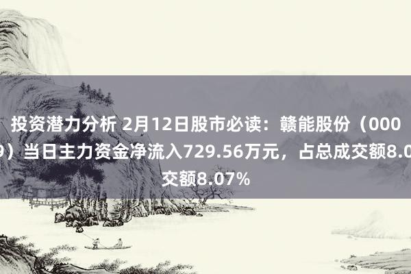 投资潜力分析 2月12日股市必读：赣能股份（000899）当日主力资金净流入729.56万元，占总成交额8.07%