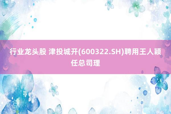 行业龙头股 津投城开(600322.SH)聘用王人颖任总司理