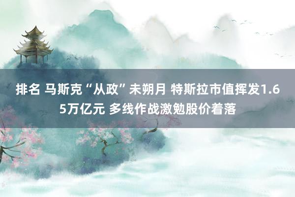 排名 马斯克“从政”未朔月 特斯拉市值挥发1.65万亿元 多线作战激勉股价着落