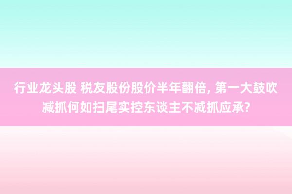 行业龙头股 税友股份股价半年翻倍, 第一大鼓吹减抓何如扫尾实控东谈主不减抓应承?