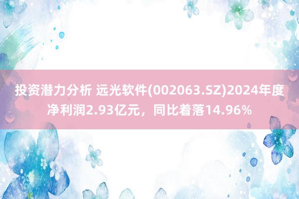 投资潜力分析 远光软件(002063.SZ)2024年度净利润2.93亿元，同比着落14.96%