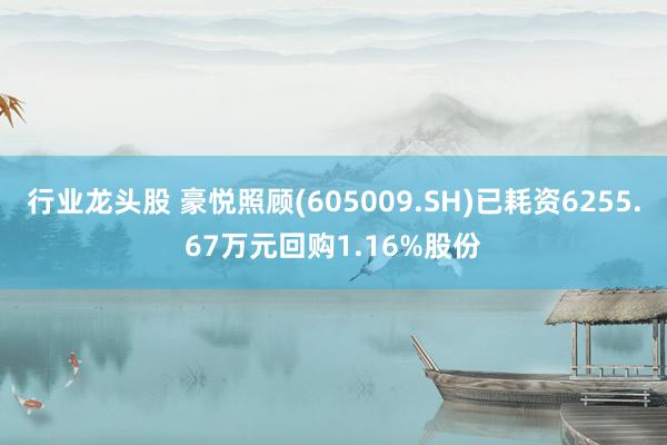 行业龙头股 豪悦照顾(605009.SH)已耗资6255.67万元回购1.16%股份