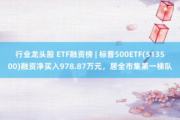 行业龙头股 ETF融资榜 | 标普500ETF(513500)融资净买入978.87万元，居全市集第一梯队