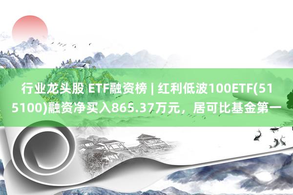 行业龙头股 ETF融资榜 | 红利低波100ETF(515100)融资净买入865.37万元，居可比基金第一