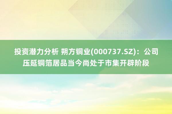 投资潜力分析 朔方铜业(000737.SZ)：公司压延铜箔居品当今尚处于市集开辟阶段