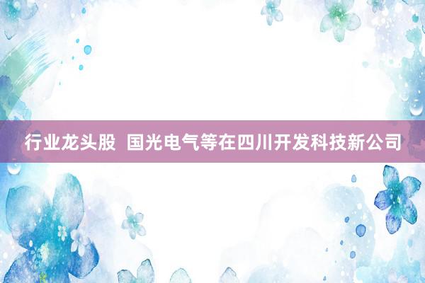 行业龙头股  国光电气等在四川开发科技新公司